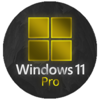 Windows 11 Pro License Key - Lifetime